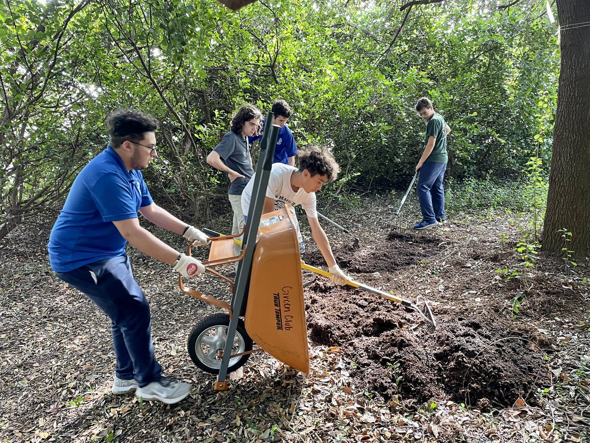 andrewkearns64's tweet photo. #GreenClub in action Friday afternoon in our @josemartimast #nativearboretum! Cleared our pine rockland section and itβs looking good! ππΏ#mast2324 @FairchildGarden @fl_native_plant @DadeFNPS @MDCPSSTEAM @STEAMDesignated @SMdcps @MDCPSCommunity @SuptDotres https://t.co/jzKfKEC3DP