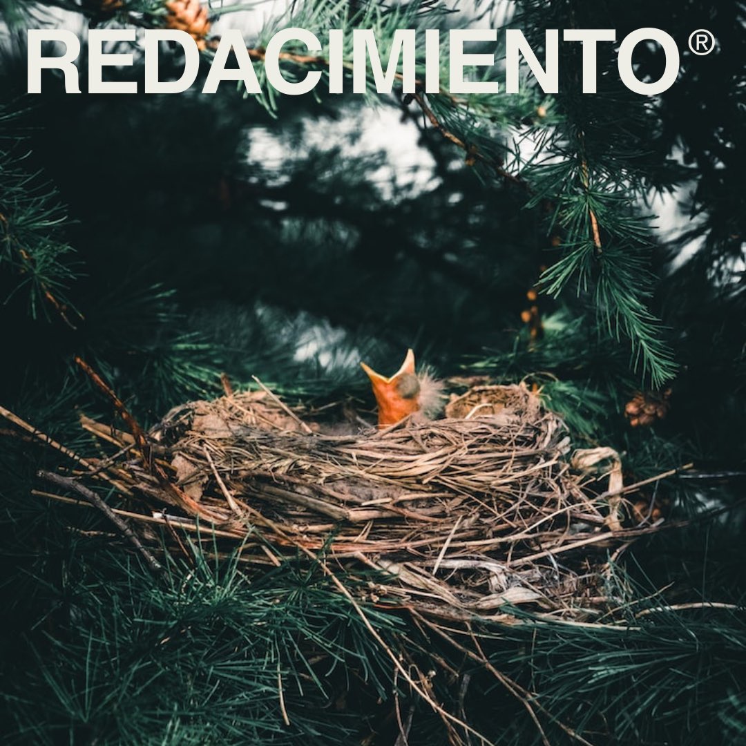 instagram.com/p/Cy1WS-dtR-_/…