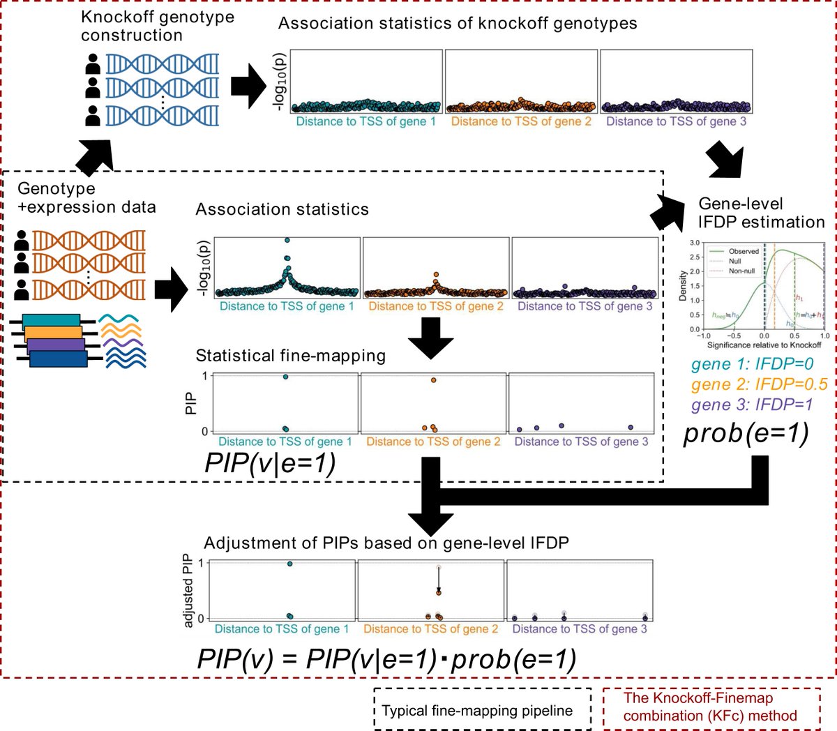 New application of knockoff genotypes (synthetic genotypes resembling original ones) for omics resources by @qbw_128. Knockoff–Finemap combination (KFc), a refined fine-mapping algorithm of eQTL to adjust PIPs. Now at NAR Genom Bioinform🎉㊗️ academic.oup.com/nargab/article…