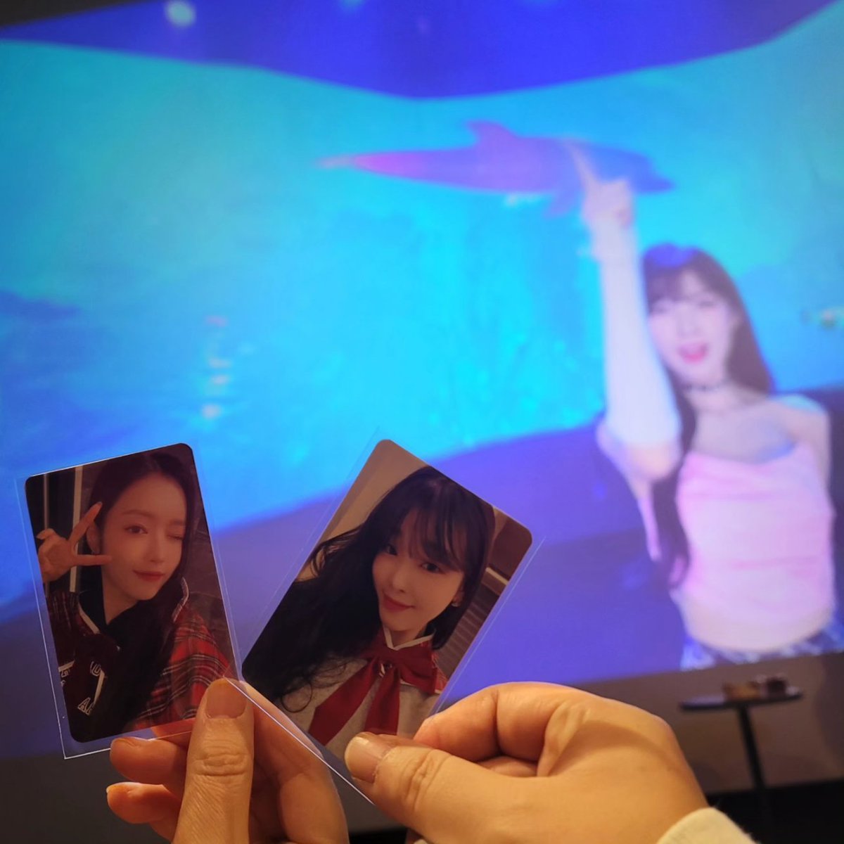 kimnao88's tweet image. #ventax #걸스인원더랜드 #kpopvr 
오늘 오마이걸을 실물로 본듯한느낌이라 너무좋았고 눈이 마주칠때마다 두근두근.가슴이 터지는줄알았습니다. 언제 또 기회가될지모르겠지만 자주 상영해주시면 무한감사할것같아요.같이 갔던 언니도 너무 좋아했어요.이렇게 입덕 잘 시키고있습니당 전국상영가즈아