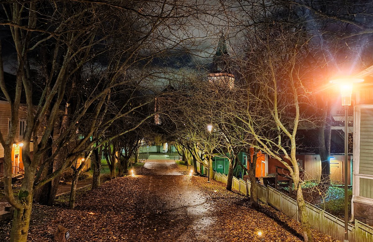 JaimeMuriel82's tweet image. Any day back home from the Natura building @UniTurku. In the background the silhouette of #TurkuCathedral 🇫🇮🍂

#Postdoclife #MSCA #Turku #Finland #newlife #Autumn