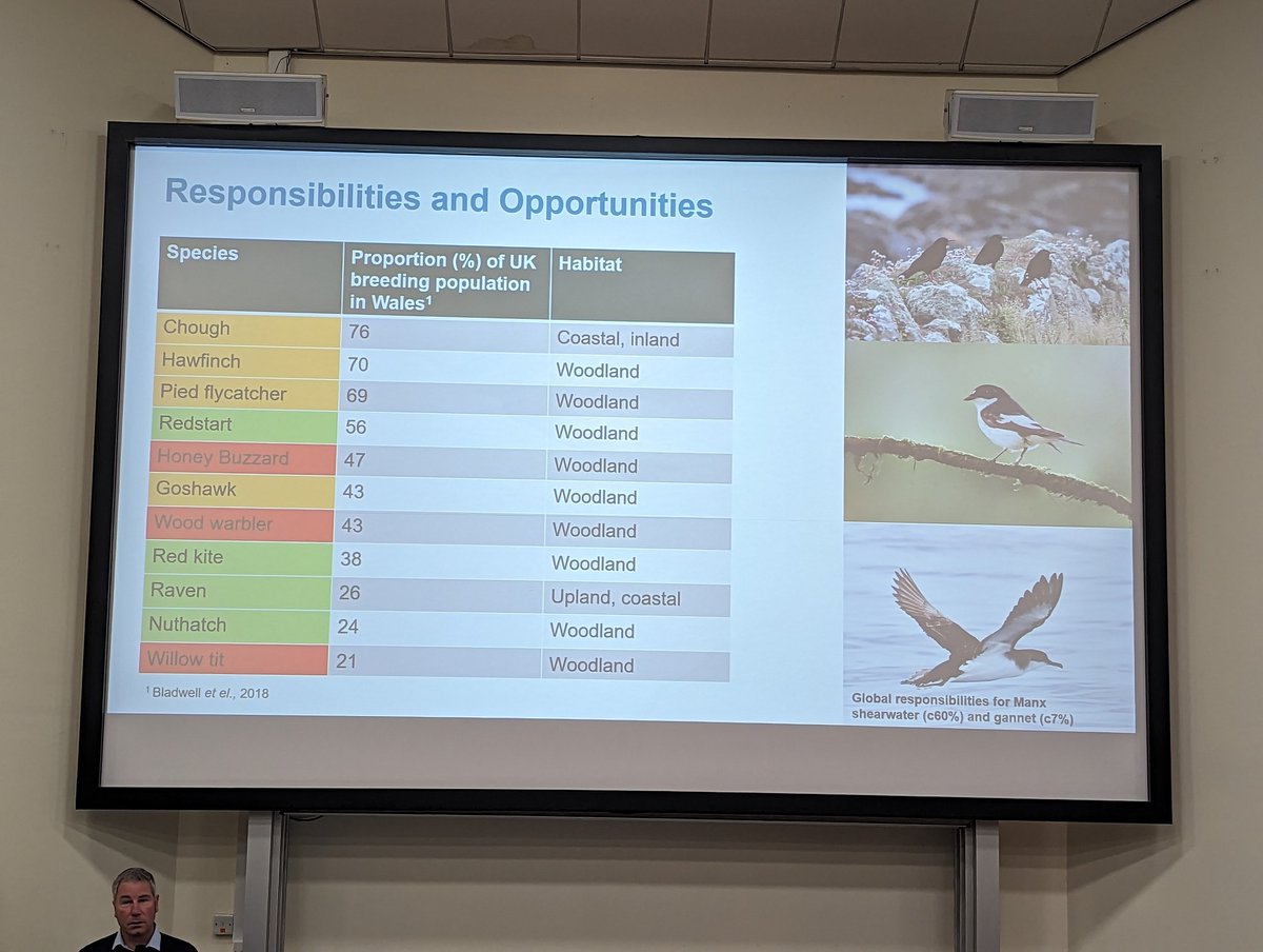 Excited to be at the Welsh Ornithological Society conference today! Learning how crucial Wales is to so many populations of vulnerable species has been humbling! It really highlights the need for us to take action for our wildlife <a href="/birdsinwales/">Welsh Ornithological Society 🏴󠁧󠁢󠁷󠁬󠁳󠁿</a> <a href="/BTO_Cymru/">BTO Cymru</a>