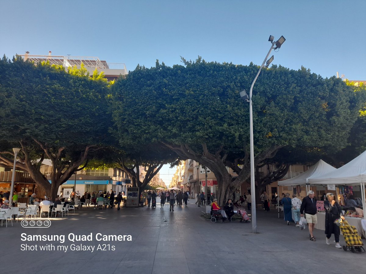 Nice walk in Almoradi.  The trees were here a hundred years before me and will be here hopefully for hundreds after I'm gone. Keeping them tidy must be a ball ache though. Time for a Beer.