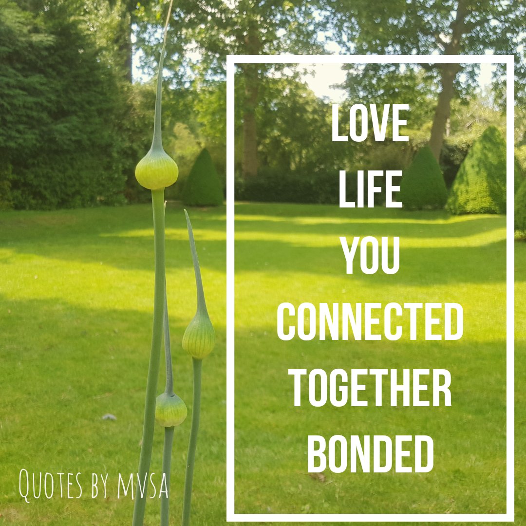 LerenmetjeHart's tweet image. Er zijn heel veel voordelen aan onderwijs thuis. Kan er een boek vol over schrijven 😁 een ervan is dat je samen leert. Nog steeds leer ik zelf elke dag iets nieuws. Erg prettig, met mijn onstilbare leerhonger.
#fortheloveoflearning