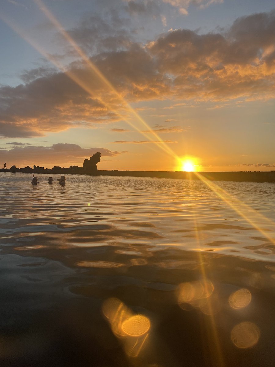 DaveJohnson_uk's tweet photo. Winter sun sunset https://t.co/CQTbCT2lm8