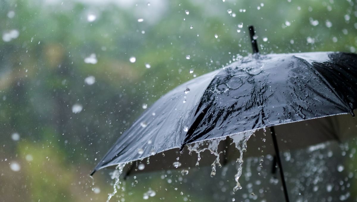 josette_marrant's tweet photo. Pourquoi on n’entend pas actuellement  les opposants aux réserves d’eau nous expliquer que stocker l’eau qui tombe en abondance l’automne et l’hiver c’est pas une bonne idée ! @lessoulevements @florencehabets @MagaliReghezza @BonPote @HazizaEmma https://t.co/fkpxqEpVFb