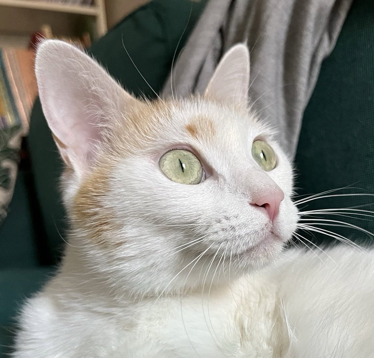 Nakışımız bitti cüzdan olmaya gidiyoruz 🫠