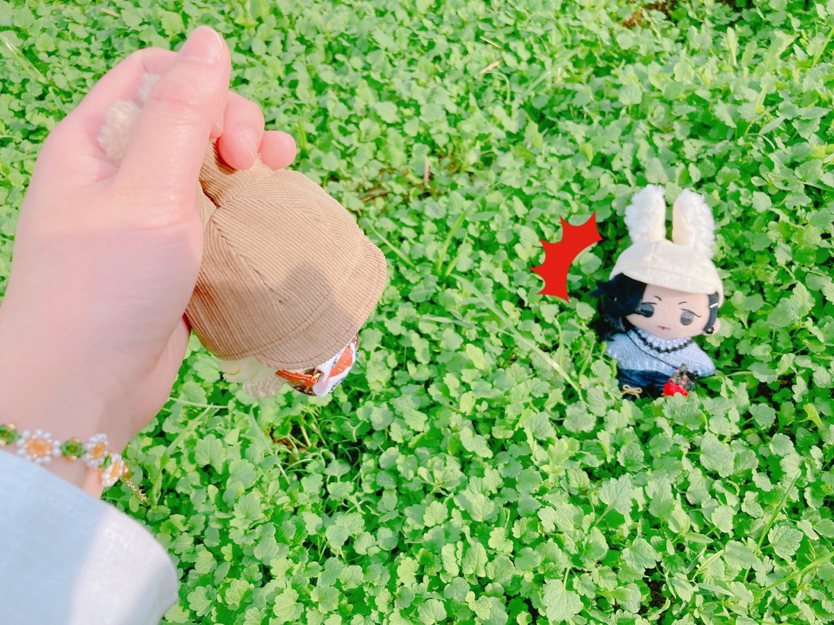 komtapi's tweet image. わ❣️かわいいうさぎさんだ😆❣️捕まえちゃお❣️

🐶「😠💢💢💢」