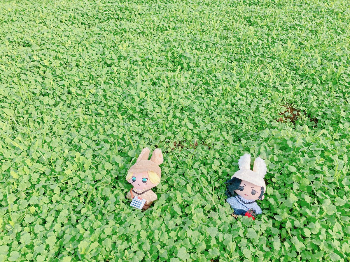 komtapi's tweet image. わ❣️かわいいうさぎさんだ😆❣️捕まえちゃお❣️

🐶「😠💢💢💢」
