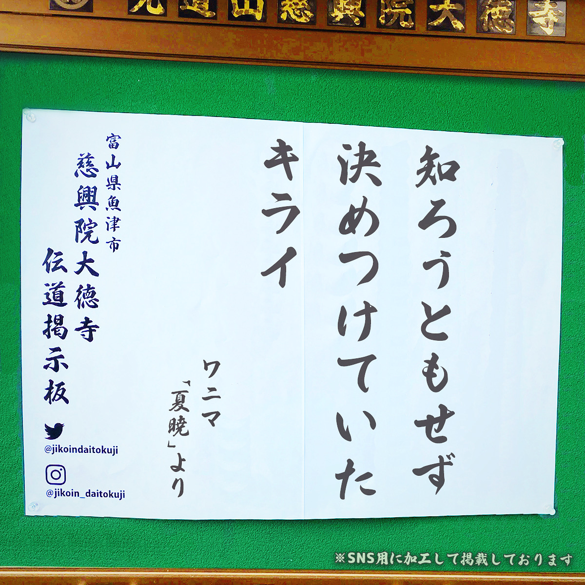 jikoindaitokuji's tweet photo. 2023年11月 慈興院大徳寺
お寺の掲示板 を更新

"知ろうともせず決めつけていたキライ"
#WANIMA - 夏暁 より

お釈迦様は"悪いと知って犯す罪"よりも
"悪いと知らずに犯す罪"のほうが恐ろしいと説かれました
なぜなら… https://t.co/dxWyu0qCan