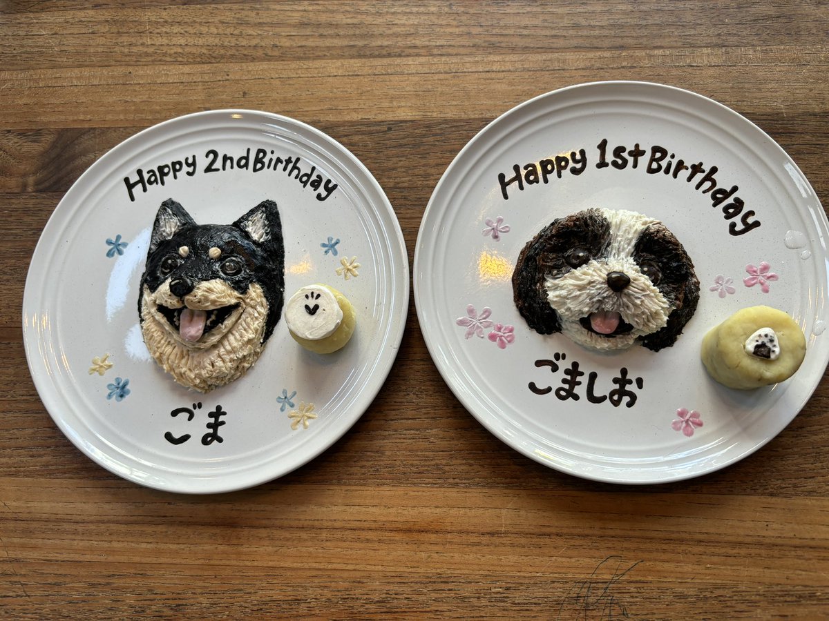 お友達と合同誕生会をしてきました😆🤍
似顔絵ケーキが似すぎて感動した…
※ごまの誕生日はもう少し先です