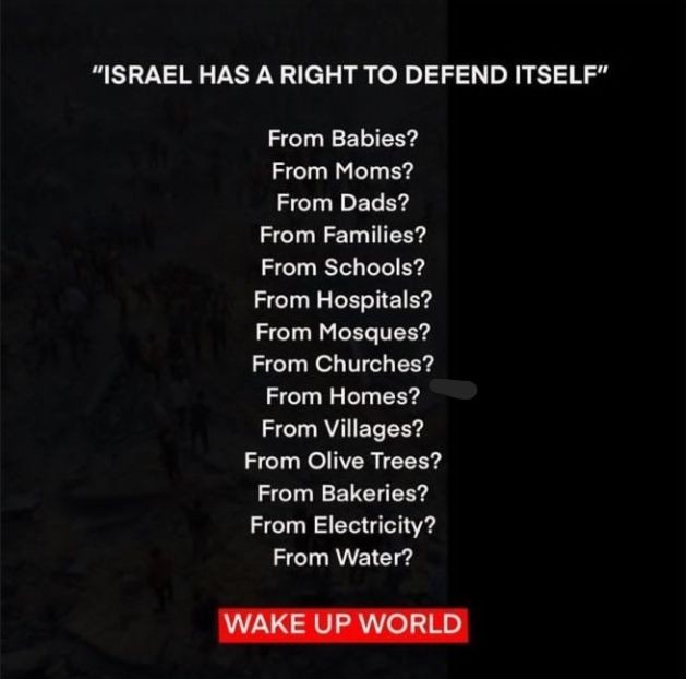 Iqra96680122's tweet photo. Wake up world!
#WeaponsForGaza
#ArmsShipmentsToGaza
#ArmiesToAqsa
#AlAqsaCallsPakArmy
#BDSMovement
#banmusicfestivals
#NoActionNoVote
#Gaza_Genocide
@DGISPR
@dcislamabad https://t.co/7xiLaZ0QUL