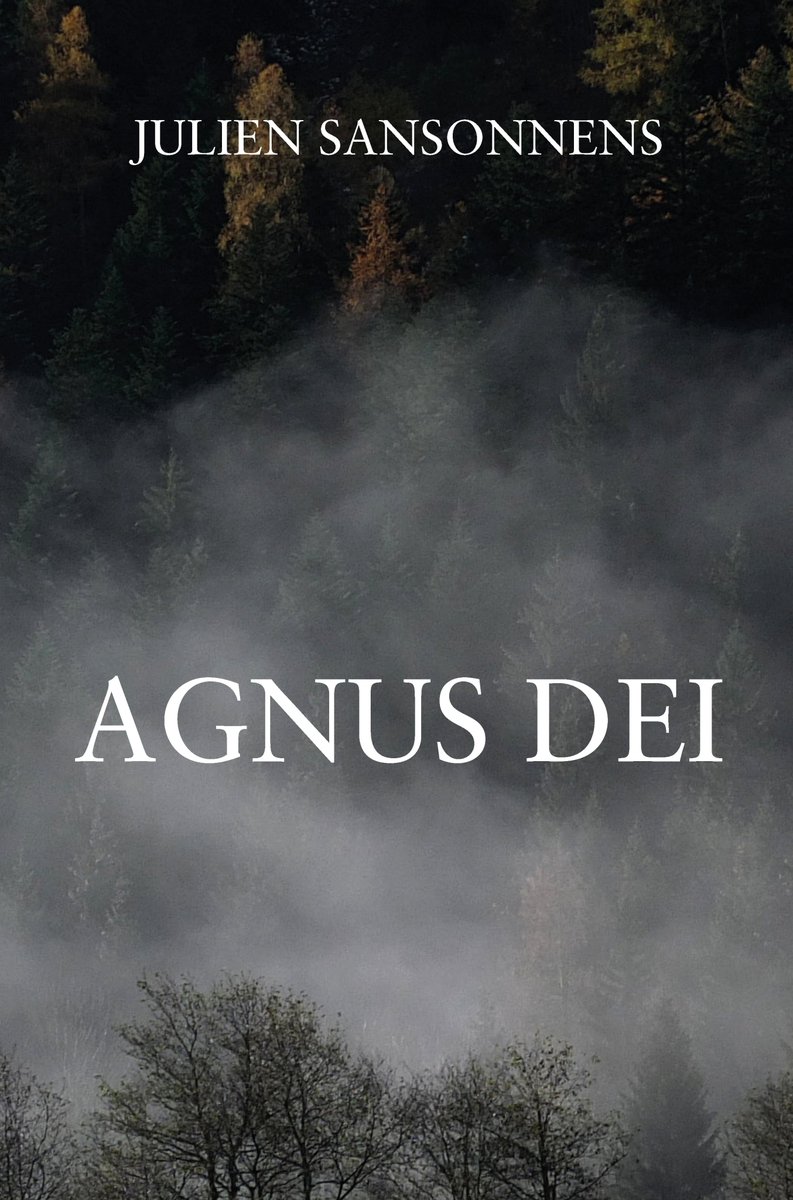 jsansonn's tweet image. Agnus Dei, mon cinquième roman, est désormais disponible en librairie. Par exemple ici, chez Payot: payot.ch/Detail/9782889… #livre #roman #littérature #suisse