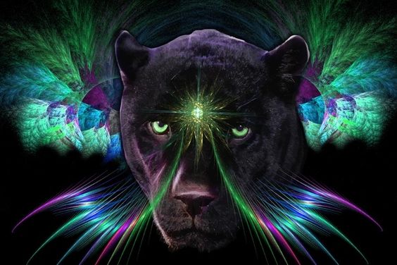 EarthKeeper22's tweet photo. MY MIND TO YOUR MIND
You Humies have forgotten that Nature sustains your species.
This lost understanding permits your destruction of Nature.
We beings that dwell in Nature are paying the price of this destruction.
Soon, very soon, a great number of your species shall too the suffer the cost of your ecological transgressions🦋LJC
#GlobalWarming #extinction #FossilFuels #deforestation #plastic #pollution #flooding #drought #Food #water #crisis #Death #loss #EarthKeepersUnite