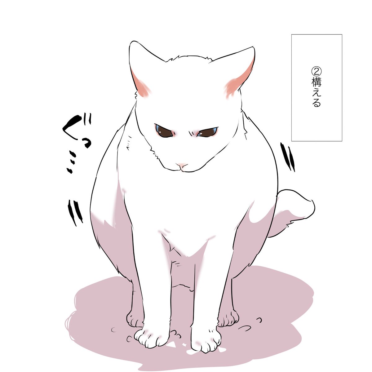 猫の「あの時の顔」の話(2/2) #漫画が読めるハッシュタグ #愛されたがりの白猫ミコさん