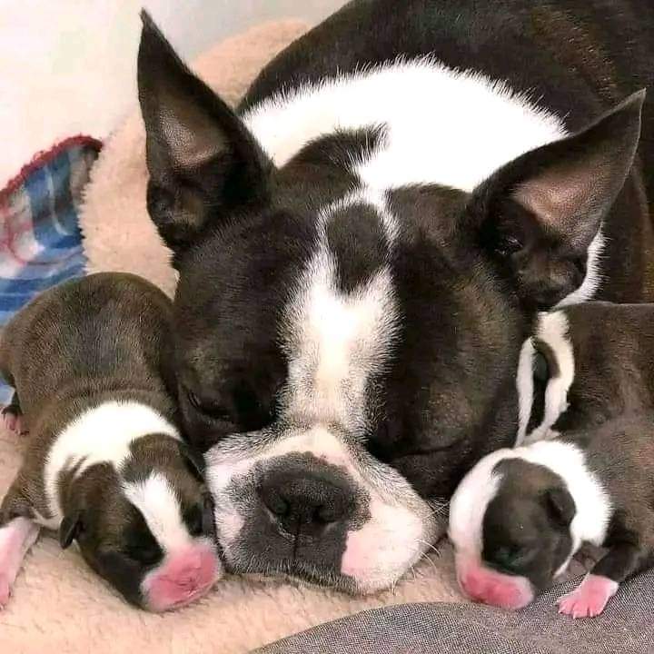 Mother's Love 😘