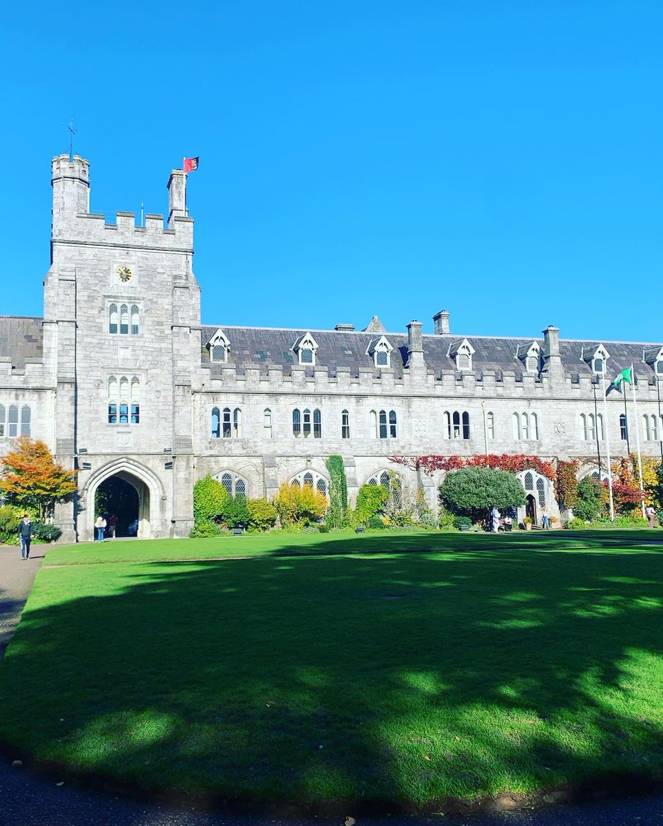 Monica de Gaetano tweet media