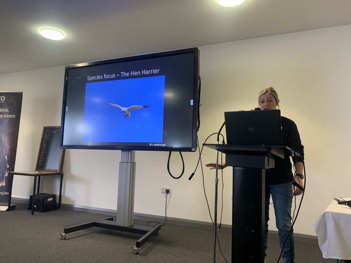 Eimear Rooney of the NI Raptor Study Group <a href="/nirsg/">NIRSG</a> discusses the issues facing raptors in NI. She calls on us to raise awareness of wildlife crime and accidental disturbance and empowers us to help our raptors