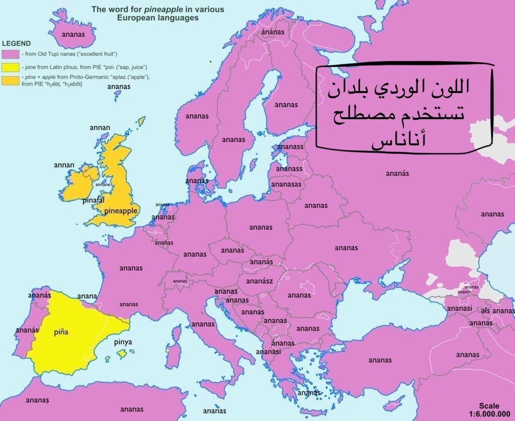 الفاكهة التي لن تحتار في السؤال عنها في أي دولة في العالم هي "الأناناس"

فنطقها في جميع اللغات الأور...
