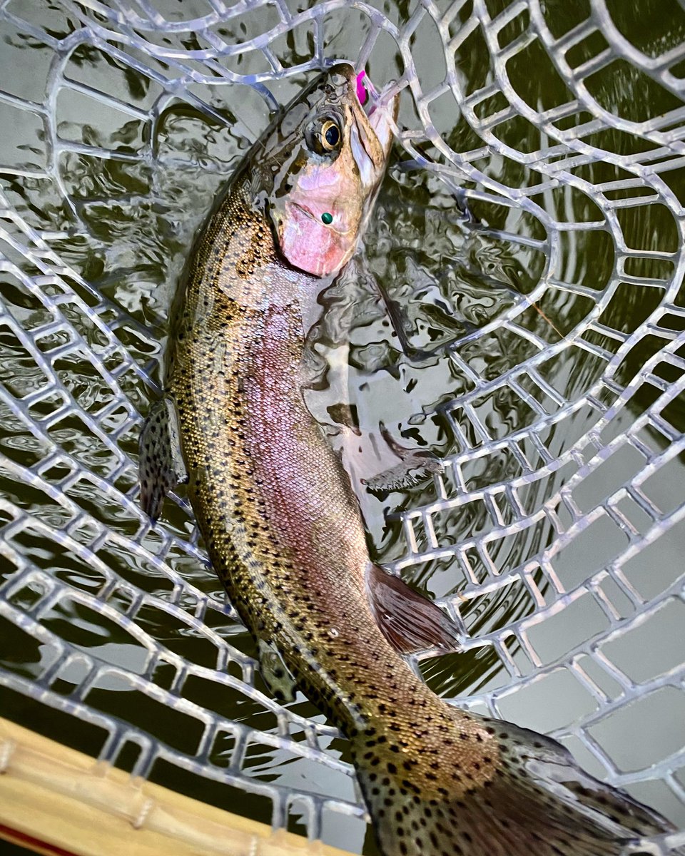 PerfectHatch's tweet image. Fly fishing in the Fall is simply the best!  Don’t forget to ‘fall back’ tonight ⏰…

#flyfishing #flyfish365 #perfecthatch #outdoors