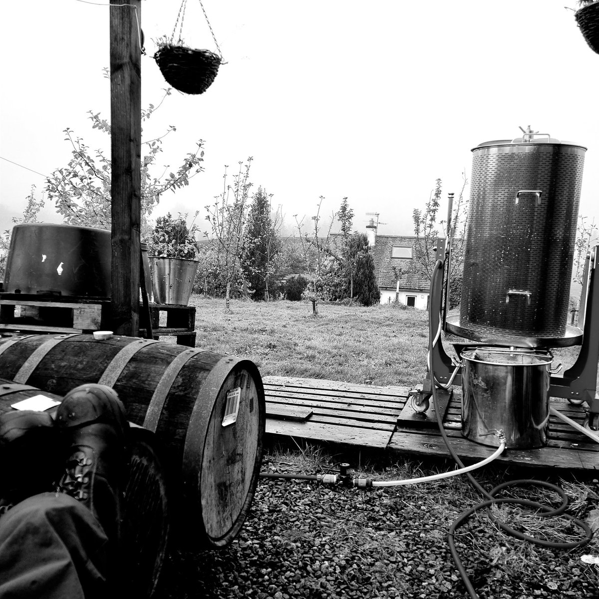 This day 12 years ago, I was making Rosquijeau Cidre in Brittany. Today, I'm doing much the same thing but just 800 miles further north. #cidermaking