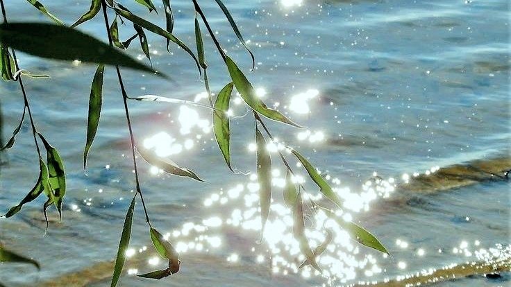 moodyonmoon's tweet photo. 🌊🌿🛶 https://t.co/RYL183TQi7