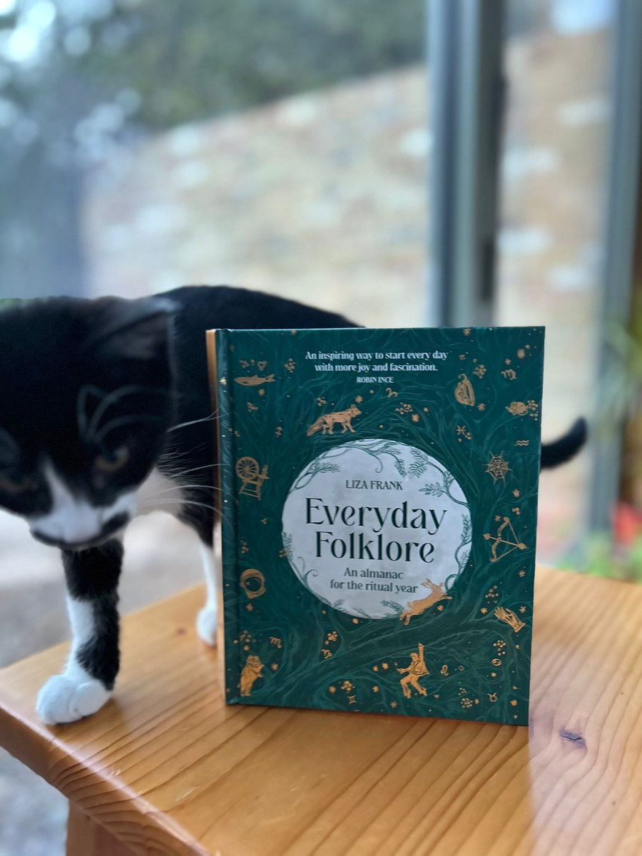 lilithepunk's tweet photo. And here is kitten number one (possibly slightly confused by their mission) taken by the lovely @Kate_Straker
#Caturday #EverydayFolklore #CatsOfTwitter https://t.co/Eo114vMdab