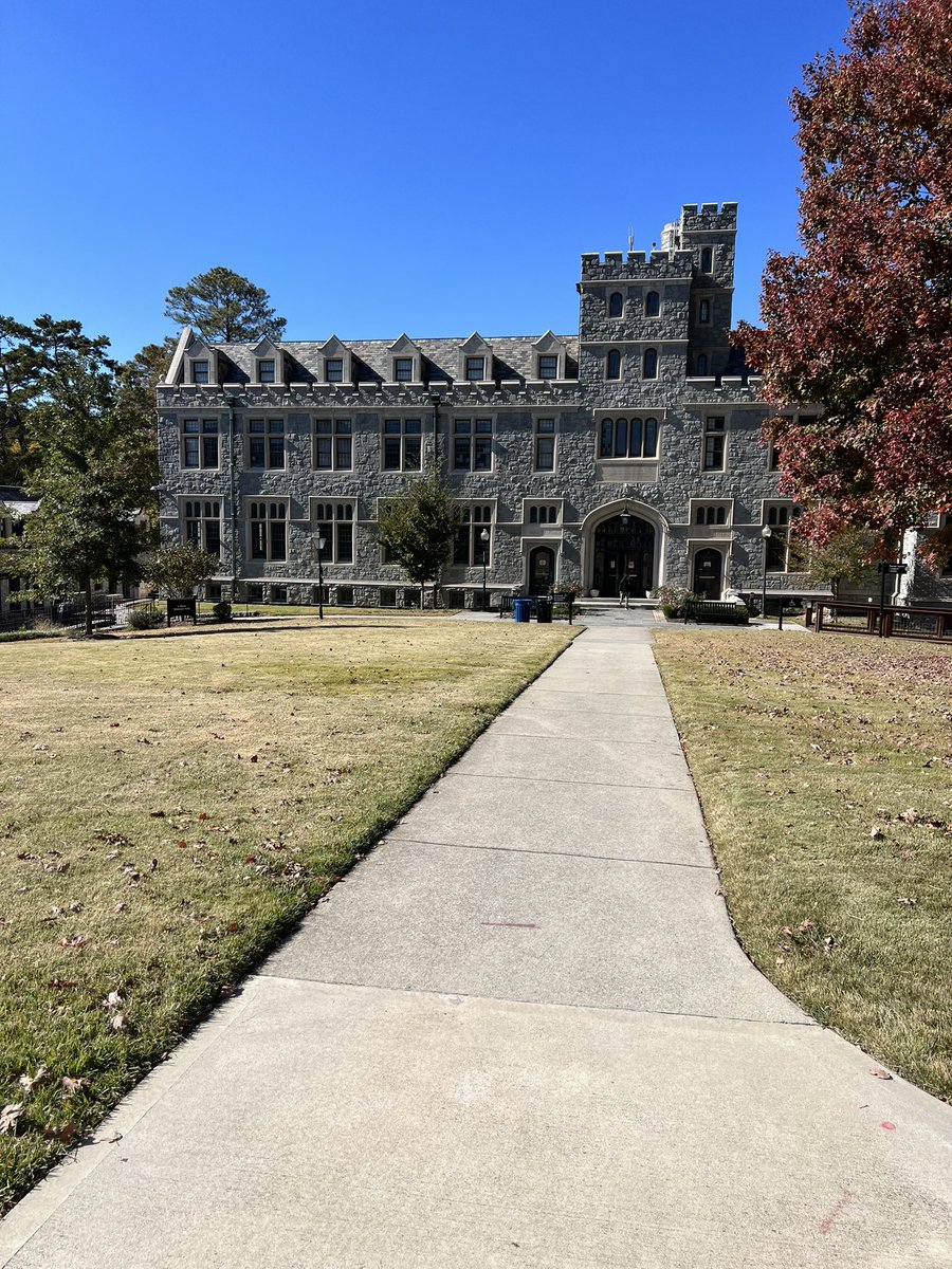 Layla Martinez tweet media