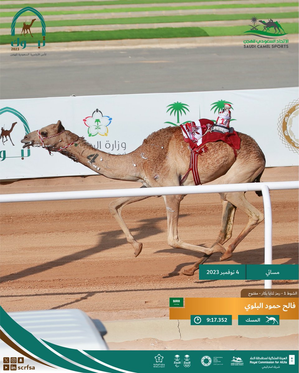 scrfSA's tweet photo. 🇸🇦🏆
الشوط الأول🥇 

(المسك) لمالكها فالح حمود مطلق الحمري البلوي تحقق المركز الأول رمز ثنايا بكار – مفتوح ⏱️9:17.352 ضمن الأشواط المسائية.

https://t.co/bcdljiMq4P

#كأس_الأولمبية_السعودية_للهجن 
#الاتحاد_السعودي_للهجن 
#تبوك https://t.co/nZdQRXIvdc
