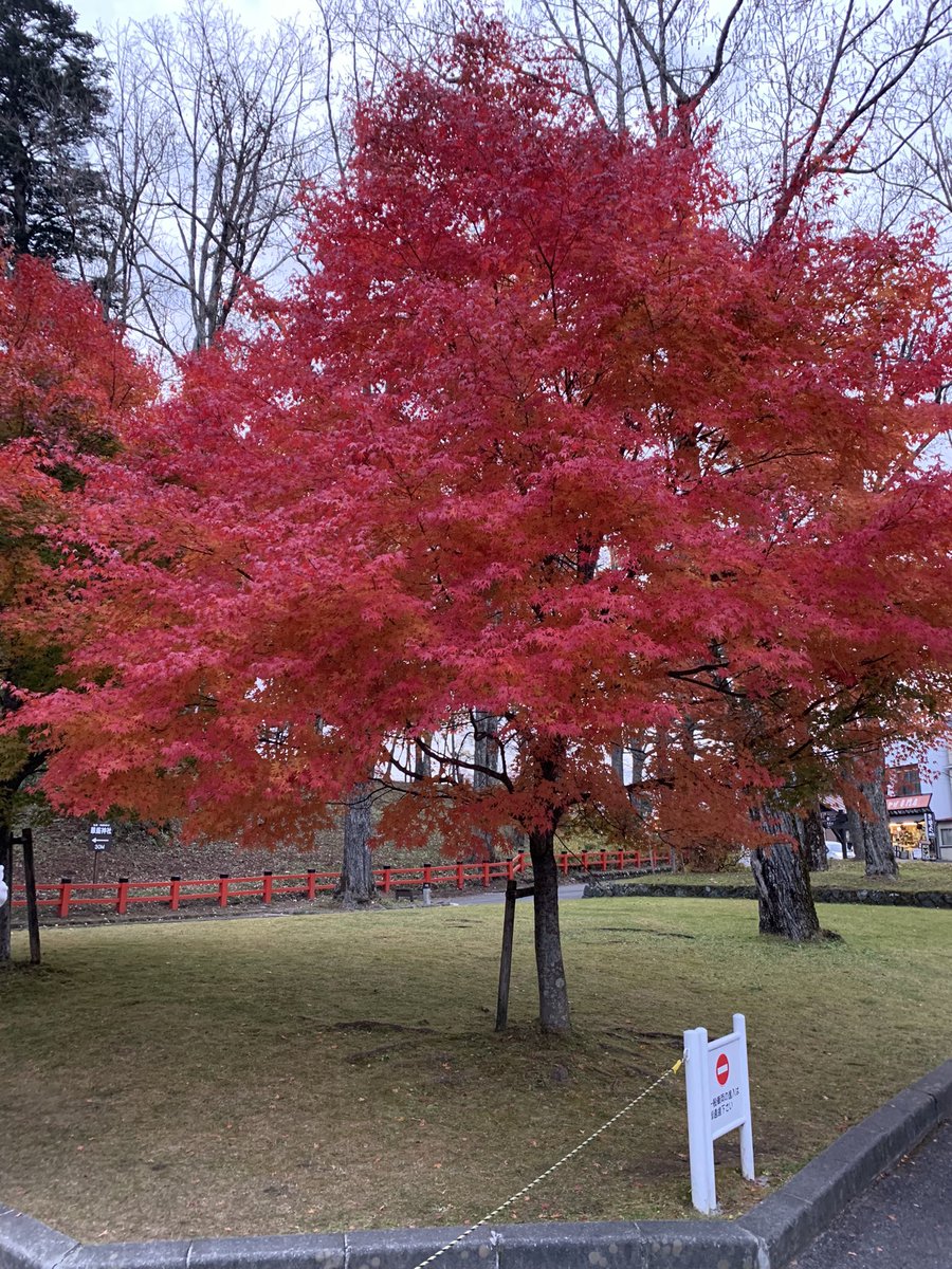 ppsider's tweet photo. 栃木県は日光中禅寺湖へ紅葉見に

くねくね道で有名ないろは坂大渋滞で全く回れなかったので、また来ます

終電ギリ https://t.co/W8imaUgRRB