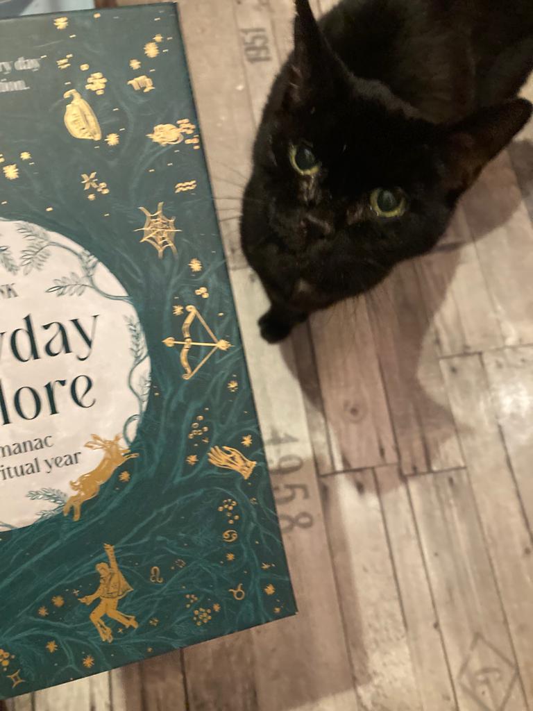 lilithepunk's tweet photo. And finally the lovely Alex grabs her cat's attention by wafting her copy of Everyday Folklore (nothing to do with the cat mint sandwiched between the leaves obvs...).
Do you have any pet related Everyday Folklore pics you can add...?
#Caturday #EverydayFolklore #CatsOfTwitter https://t.co/diTIgM19GJ
