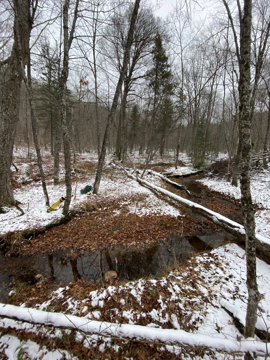 Danielle Hudson tweet media