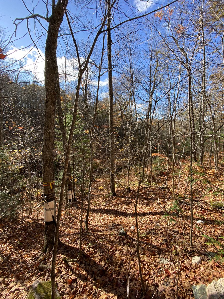 Danielle Hudson tweet media