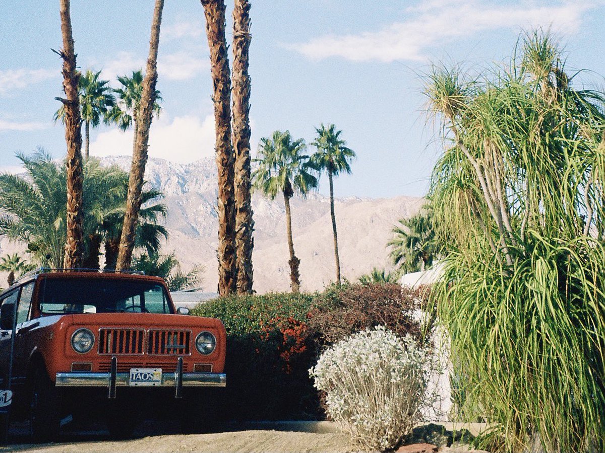 35mmfilmslides tweet media