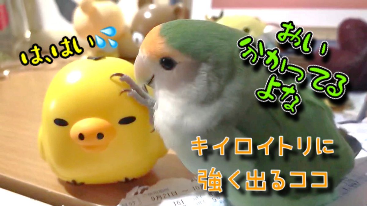 お気に入りサムネ