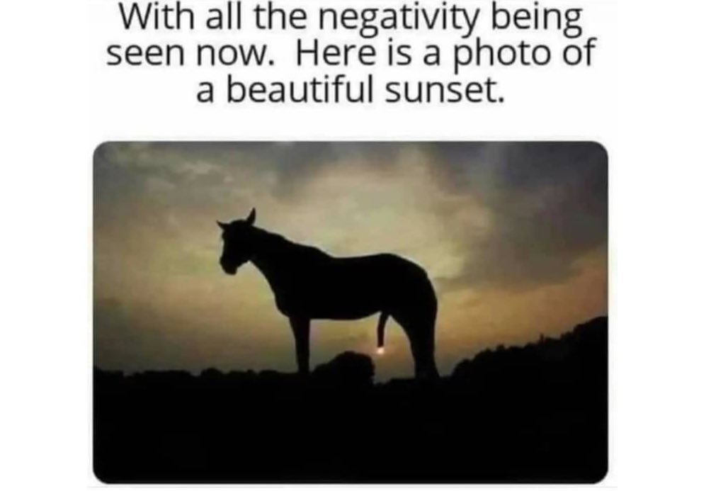 littlebirdyEnza's tweet image. #startpositive #spiritanimal #horse