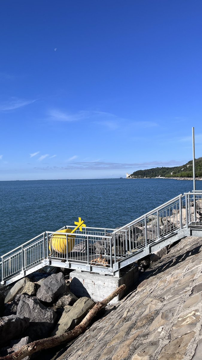 Walter Dellisanti, PhD 🪸🔬🤿 tweet media