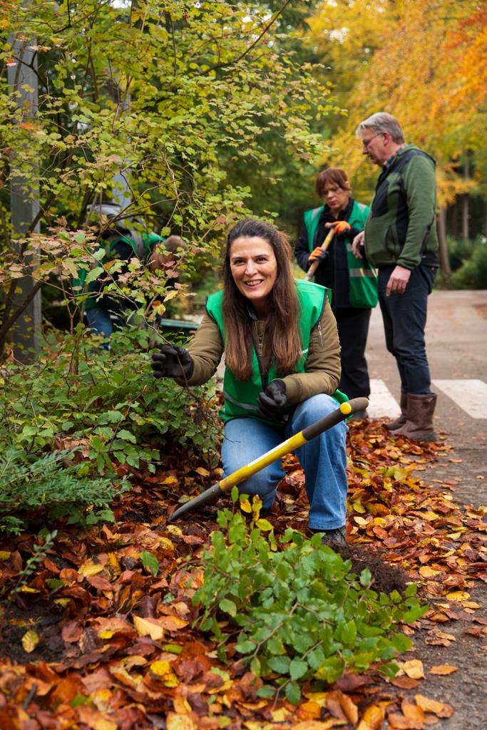 MeerBomenNu tweet media
