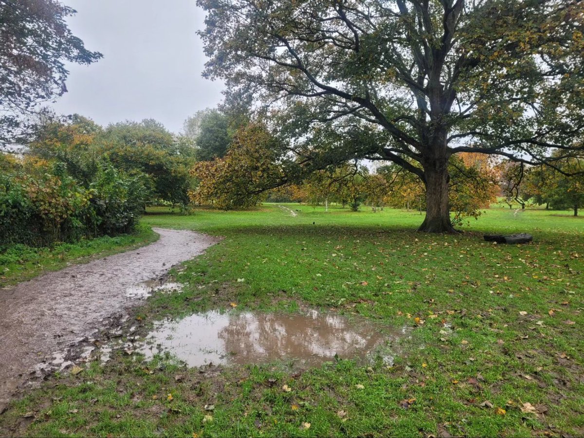 A wet, muddy, slippery, rainy @nonsuchparkrun this morning. Almost a #parkswim (!) Unsurprisingly lower number of runners. As expected, slower time for me in 29.44, finishing in 195th out of 316 runners. #nonsuchparkrun #nonsuchpark #muddyparkrun #deafrunner