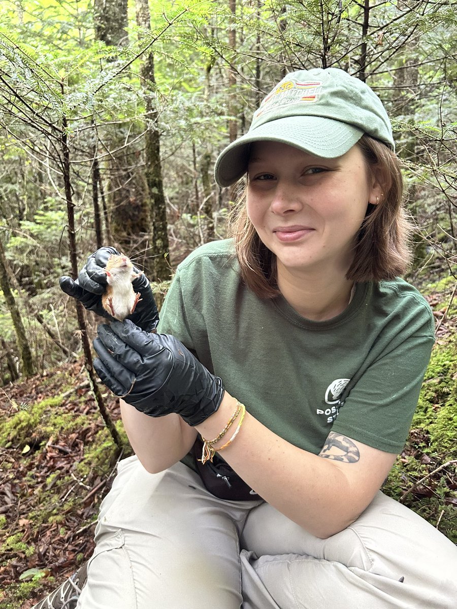 ecwatersmith's tweet photo. As much as I enjoy lab work too, I’ve really been missing our field work lately. I’ll see you next field season, jumpers! https://t.co/pgLbQi3lko