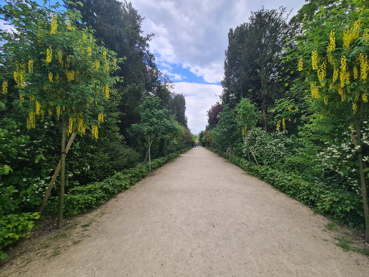 “On est toujours trop riche quand on déménage.” #plants #planttwitter #plantsvszombies #planttwitter #PlantSci #plants #plantcare #GREEN #GreenPlanet #Greenwall #greenindiachallenge #Plantation #nature #plants #flowers #gardening #photography