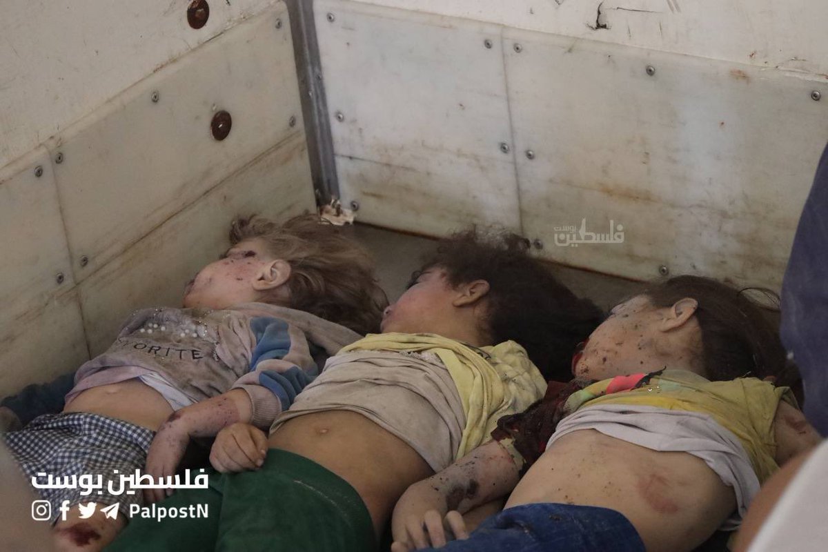 TIMES OF GAZA tweet media