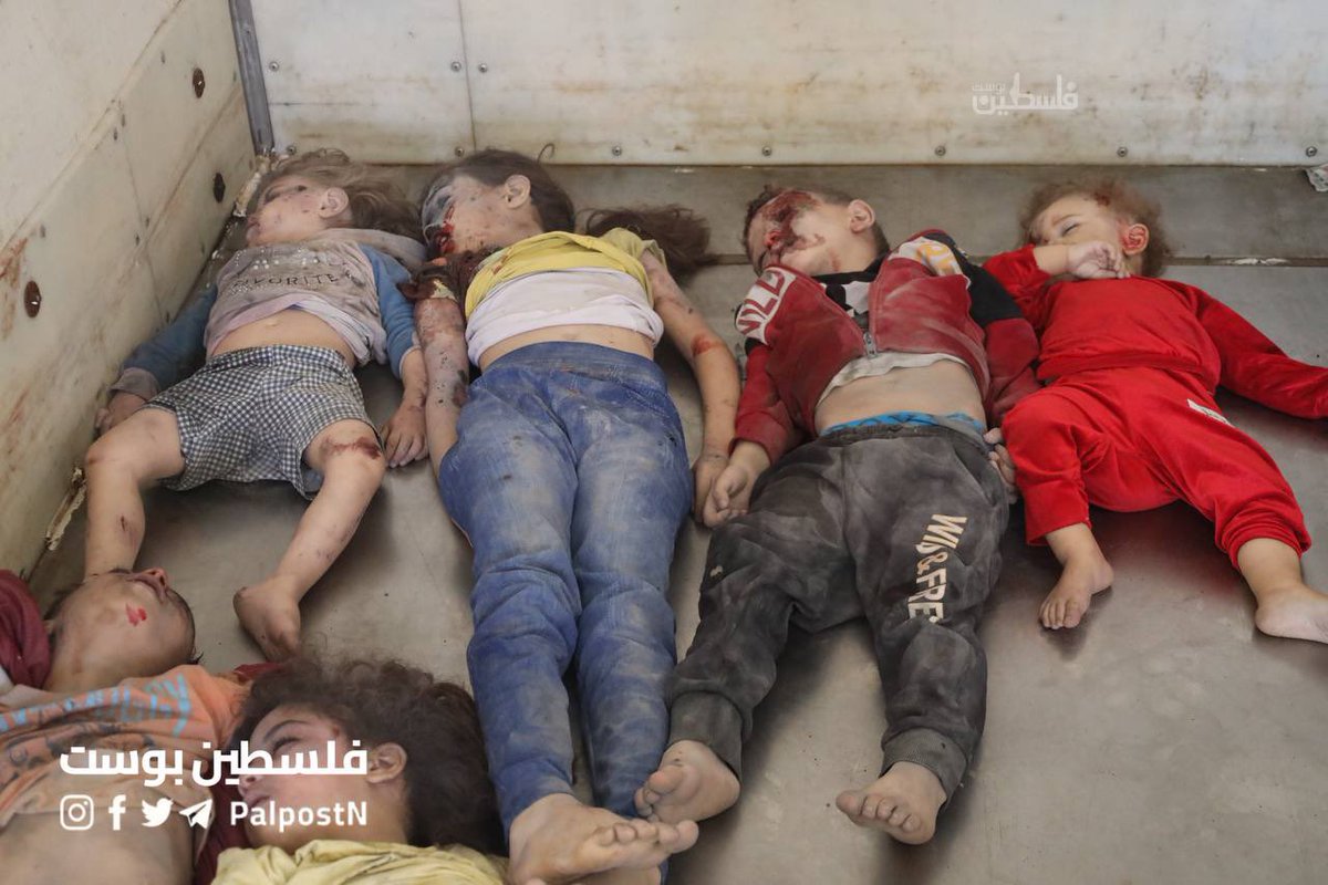 TIMES OF GAZA tweet media