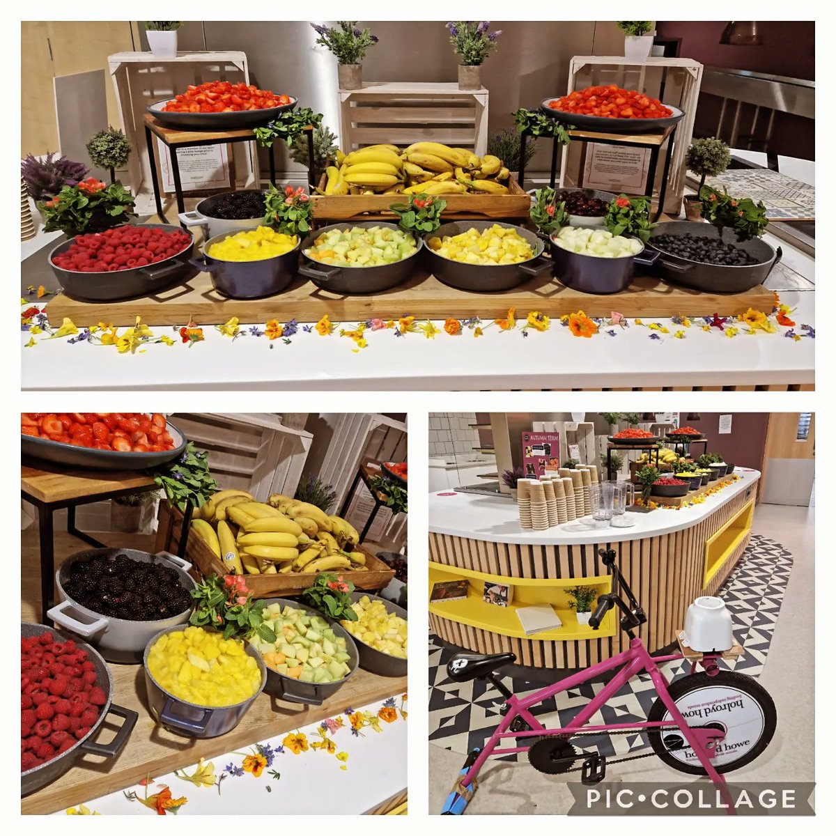 WithingtonHHowe's tweet photo. Wow!! Team #WGS had a busy week with not one but two school open events for @WGSManchester and what a busy Saturday our Smoothie bike had! Well done and super proud of the team for all their hard work!
@Traceykeane123 @pammybabe68 @HolroydHowe @chefbenji64 @DamianBlake4 https://t.co/1AQfxCuHvy