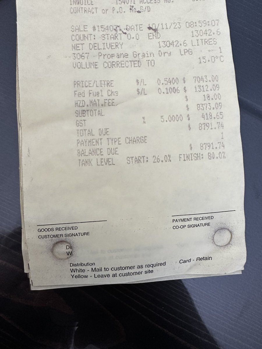 Lindsay Masse tweet media