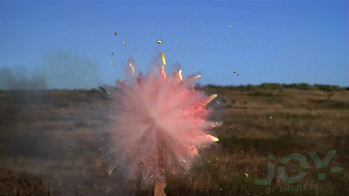 AH1whiskey's tweet image. @kirstenjoyweiss hit this melon right on its tiny little piggie tail 100% dead center mass with a smoothbore slug no less--