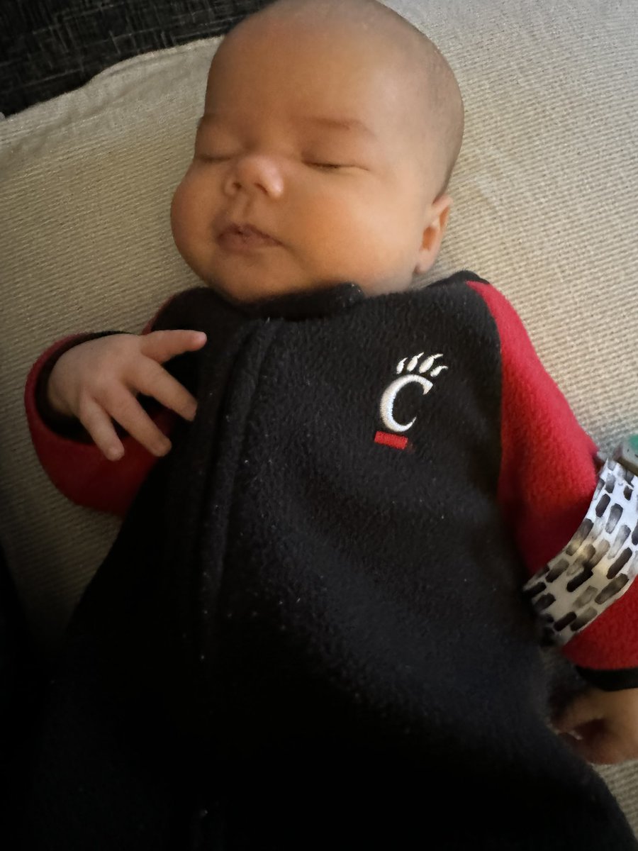 BubblyPineapple's tweet photo. Let’s Go #Bearcats !! https://t.co/TZEcQyPZvC