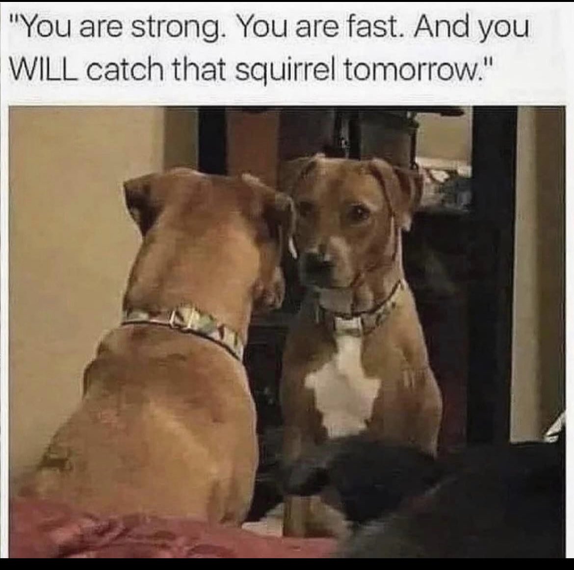 Affirmations are important!