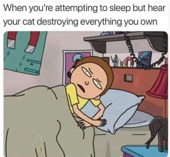 WholesomeMeme's tweet photo. https://t.co/C9pwod0wKf