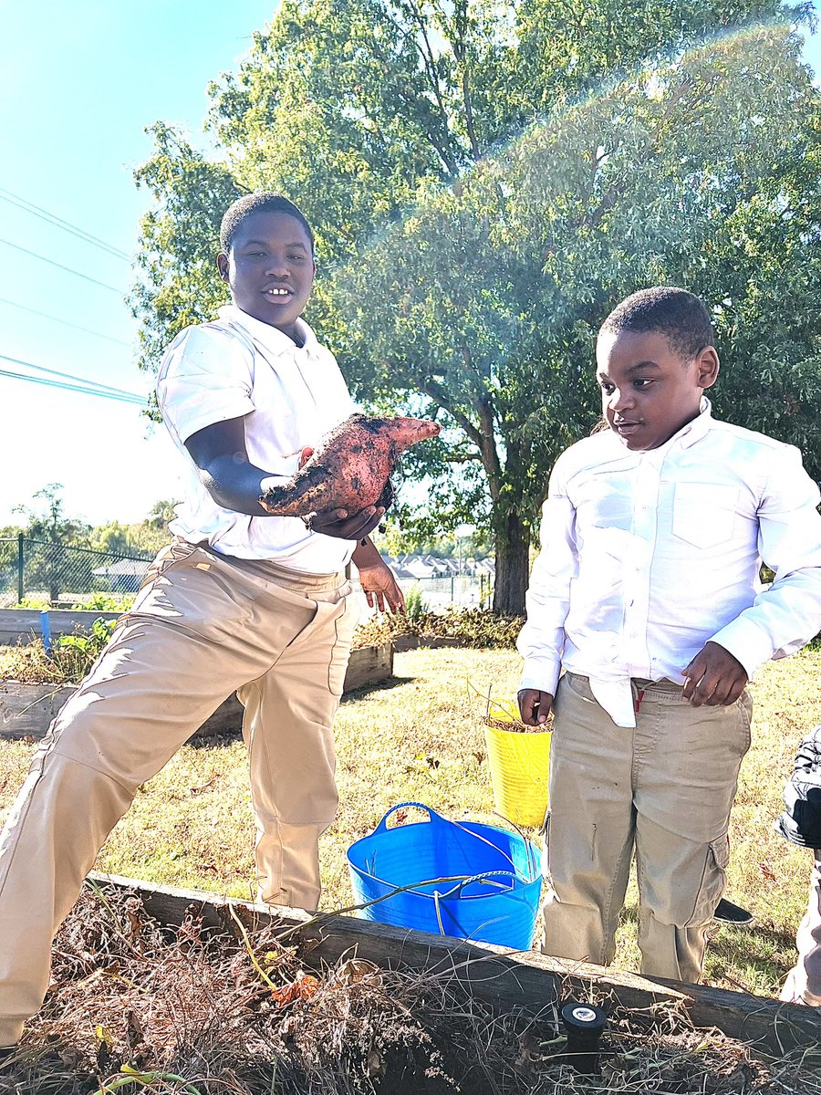 New Heights Community Resource Center (@tcsnewheights) on Twitter photo To nurture a garden is to feed not just the body, but the soul-Alfred Austin. Our <a href="/schoolyardroots/">Schoolyard Roots</a> #sel garden is teaching the <a href="/STARS_TCS/">TCS Children Center & STARS Academy At New Height</a> students about the <a href="/caselorg/">CASEL</a> five. It’s feeding hearts, minds, and souls! To nurture a garden is to feed not just the body, but the soul-Alfred Austin. Our <a href="/schoolyardroots/">Schoolyard Roots</a> #sel garden is teaching the <a href="/STARS_TCS/">TCS Children Center & STARS Academy At New Height</a> students about the <a href="/caselorg/">CASEL</a> five. It’s feeding hearts, minds, and souls!